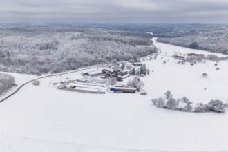 Snowy field with forest in the background under cloudy sky, Haselstaller Hof, Gechingen, Calw