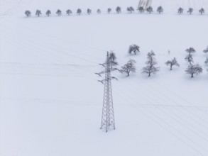 Single power pole on a white snowfield with scattered trees in the background, substation,