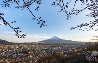 View of Mount Fuji volcano over Fujiyoshida City in evening light, at sunset, Arakurayama Sengen