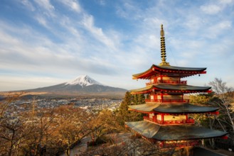 Five-story pagoda of a Shinto shrine in morning light, Chureito Pagoda, with views of Fujiyoshida