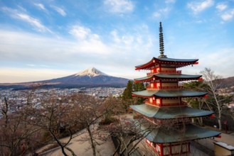 Five-story pagoda of a Shinto Shrine, Chureito Pagoda, with views of Fujiyoshida City and Mount