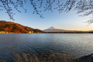 Lake Kawaguchi, view of Mount Fuji volcano at sunset, Yamanashi Prefecture, Japan