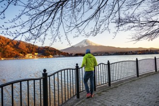 Tourist on Kawaguchi Lake waterfront, view of Mount Fuji volcano at sunset, Yamanashi Prefecture,