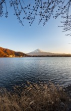 Lake Kawaguchi, view of Mount Fuji volcano at sunset, Yamanashi Prefecture, Japan