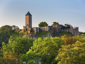 Ruins of Giebichenstein Castle in autumn in morning light, Halle an der Saale, Saxony-Anhalt,