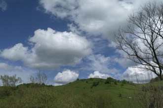 Cluster clouds (cumulus) over the landscape in the southern Carpathian Arc, Romania