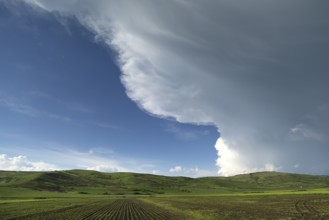 Landscape with approaching rain front (Nimbostratus), southern Carpathian Arc, Romania