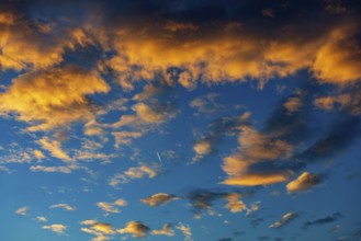 Aircraft contrails with red clouds, sunrise, Upper Austria