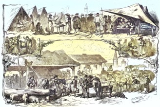 Market day in a village in Puszta, Hungary/Market day in a village in the Puszta, Hungary,