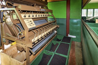 Industrial machine in a factory with green containers standing in an interior, tea factory in the