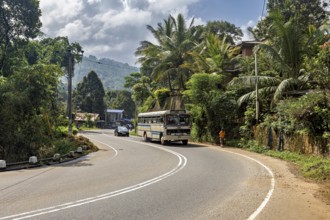 Curvy road through tropical landscape with bus and car surrounded by trees and palm trees under a