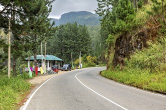 Curvy road through a green, wooded landscape with mountains in the background, road in the