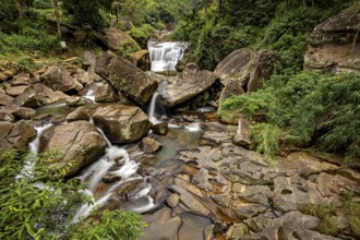 A small body of water flows over rocks in a green, dense forest, waterfall in the mountains of