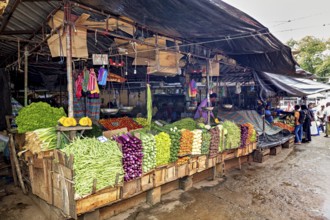 A market with a variety of fresh vegetables, presented in colorful stalls, The old market halls of