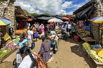 A lively marketplace full of people buying fruit and vegetables, The ancient market halls of Kandy
