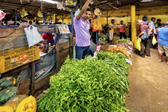 A man sells fresh herbs in a lively market with yellow walls, the old market halls of Kandy in Sri
