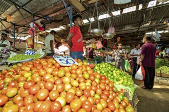 A market full of fresh tomatoes and lemons, animated by people and sales activities, The old market