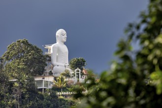 Large white Buddha statue on a hill surrounded by lush nature under blue sky, White Buddha statue