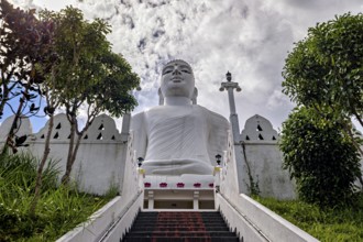 Impressive Buddha statue on the temple grounds, surrounded by stairs and trees, with cloudy sky,