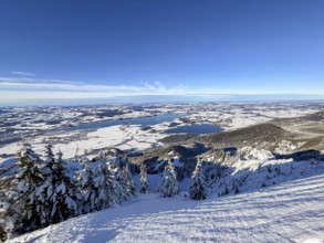 View of Forggensee and Bannwaldsee with snow in winter, ski tour on Tegelberg in winter, Schwangau,