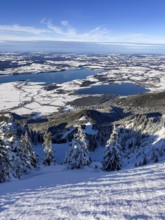 View of Forggensee and Bannwaldsee with snow in winter, ski tour on Tegelberg in winter, Schwangau,