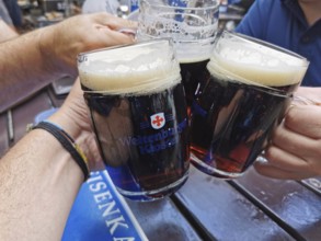 Three people toast in a beer garden with dark beer glasses, cheerful atmosphere, Weltenburg Abbey,