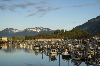 Boats in Valdez Harbour, Prince William Sound