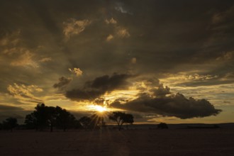 Sunset in Namib Naukluft National Park