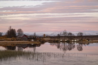 Early morning reflections in a secluded lake in Dovrefjell-Sunndalsfjella National Park, Norway