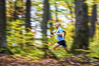 Man in a training session, trail running outdoors, healthy lifestyle, colorful autumn forest,