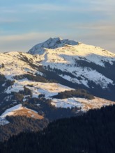 Snowy mountain peak in evening light, Kelchsau, Kitzbühel Alps, Tyrol, Austria