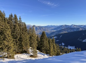 Mountain landscape and view towards Brixental, hiking to Feldalphorn, Kitzbühel Alps, Tyrol,