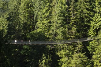 The Capilano Suspension Bridge, suspension bridge, tourist attraction, Vancouver