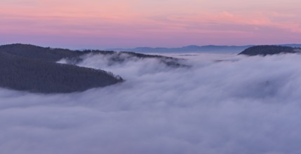 Jurassic foothills over a sea of fog in the light of dawn, Talheim, Canton of Aargau, Switzerland