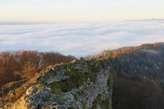 View of the sea of fog from Gisliflue, in morning light, Talheim, Canton, Aargau, Switzerland