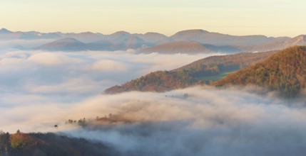 View from the Gisliflue of the Jura foothills covered in fog in morning light, Talheim, Canton,