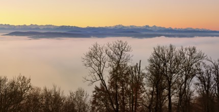 Snowy Alps over a sea of fog in morning light, Talheim, Aargau Canton, Switzerland