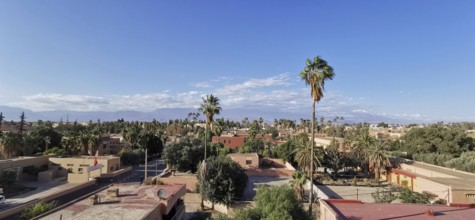 Cityscape with palm trees under a clear blue sky surrounded by low-rise buildings, Morocco