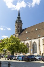 Fleischmarkt mit Dom St. Petri, Bautzen, Saxony, Germany