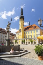 Ritter-Dutschmann-Brunnen on the main market square with town hall, Bautzen, Upper Lusatia, Saxony