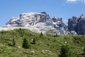 Mountain peaks of the Brenta Mountains, mountain landscape on the Grosté Plateau, Brenta Natural