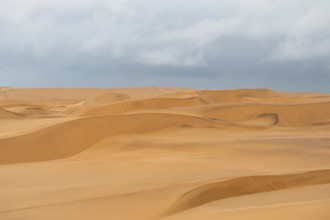 Sand dunes of the Namib Desert near Walvis Bay, Namibia