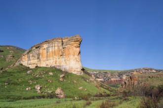 Brandwag Buttress, grassland with sandstone cliffs and cliffs, landscape in Golden Gate Highlands