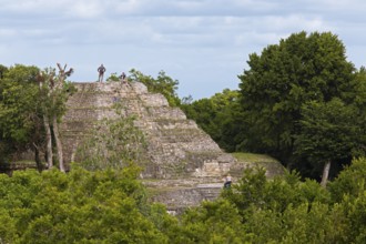 Northern Acropolis in Yaxha-Nakum-Naranjo National Park, Biósfera Maya Nature Reserve, Lowlands,