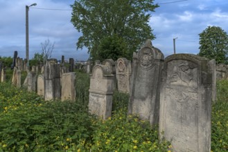 Jewish cemetery, Czernowicz, Bukovina, Ukraine