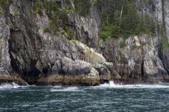 Mystical fog sweeps around rocky coast, Kenai Fjords National Park, Kenai Peninsula, Alaska, USA