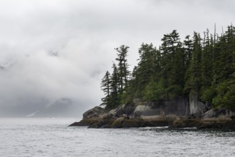 Rocky coast with coniferous forest, coastal landscape, mystical cloud-covered mountains, Kenai