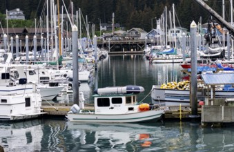 Sailing boats in harbor, Seward, Kenai Peninsula, Alaska, USA
