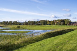 Field near Middelhagen with large puddles, Lobbe, Mönchgut peninsula, Rügen, island, Baltic Sea,