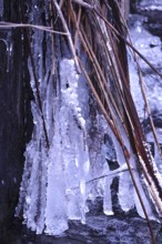 Ice on a watercourse, winter, Germany
